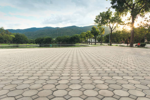 Best Residential Paver Driveway  in Bellview, FL