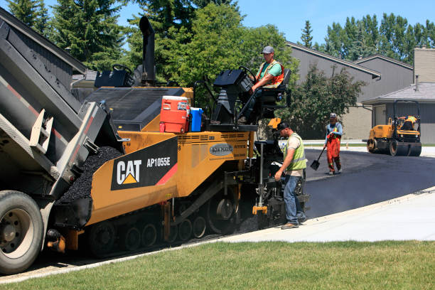 Best Driveway Pavers Near Me  in Bellview, FL