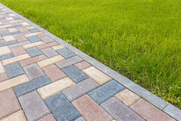 Best Brick Driveway Pavers  in Bellview, FL